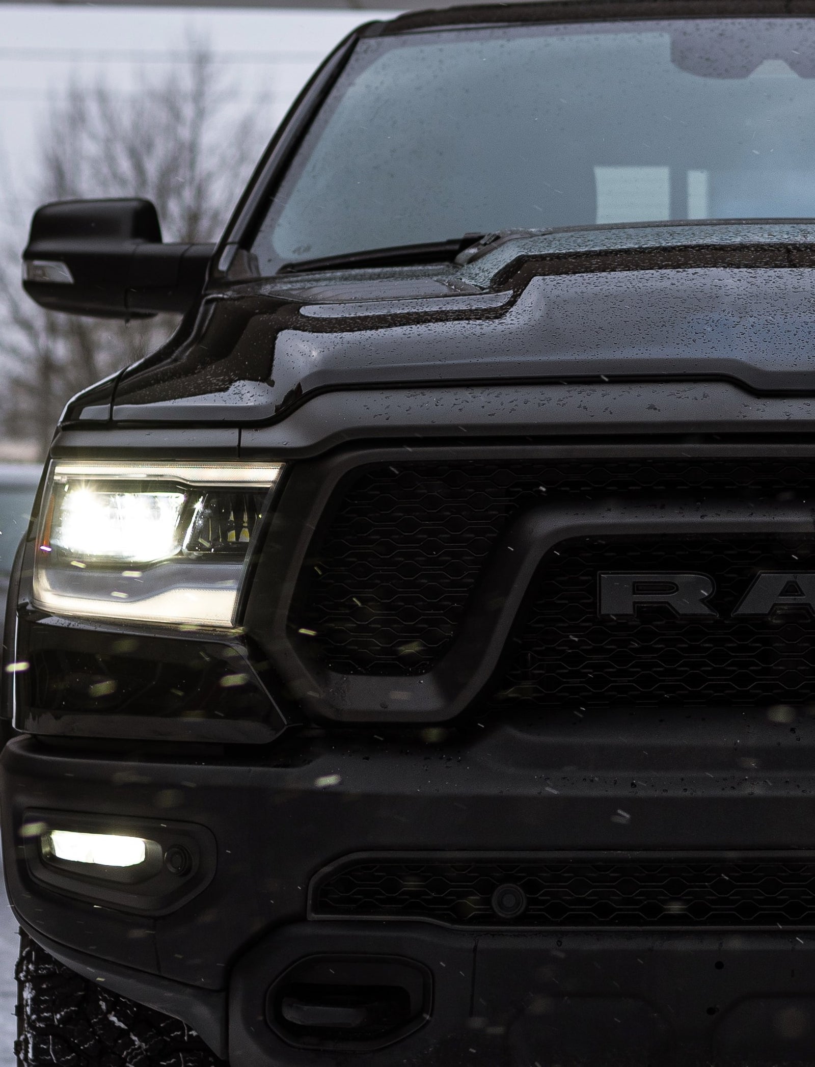 Ram