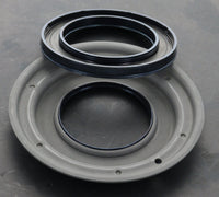 DL501 DSG / Audi S-Tronic (0B5) Clutch Piston repair Kit