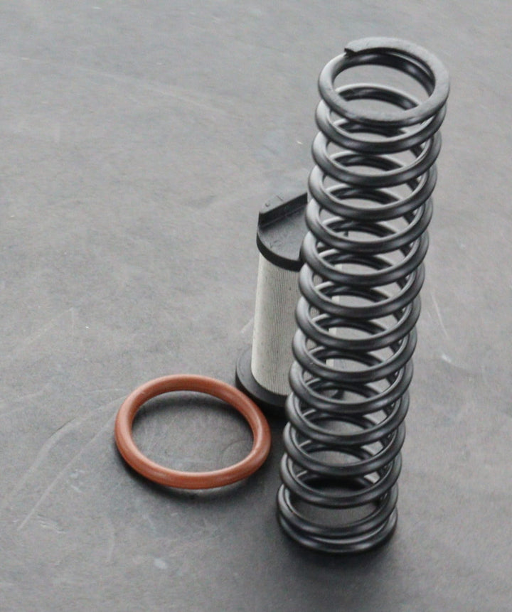 Lamborghini Gallardo E-Gear Valves Group Filter kit 086325181C